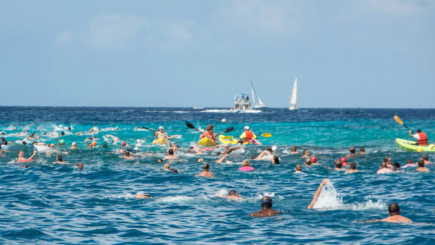 Seguridat di tur partisipante na promé lugá den Swim for the Roses di 28 di febrüari