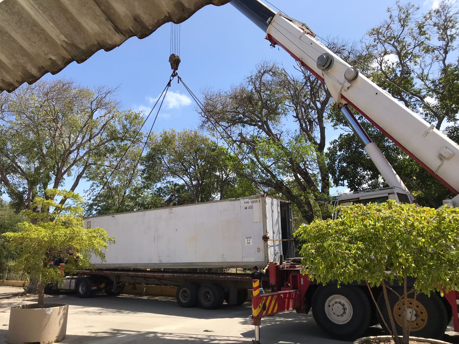 Curaçao Zoo ta sigui traha pa futuro riba su mes forsa